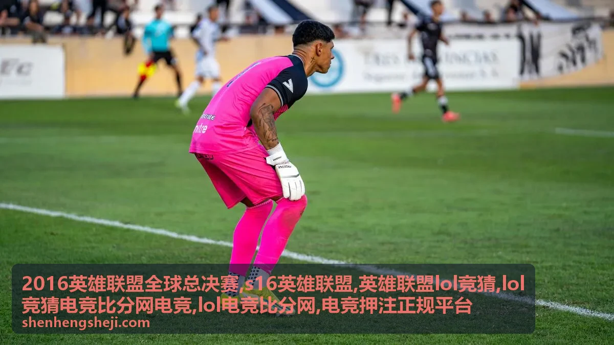电竞押注正规平台识别方法封面图